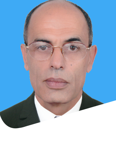 Abdelaziz Ammar